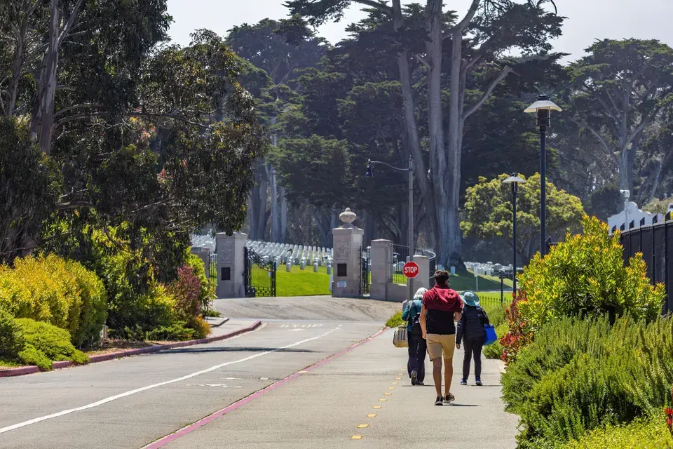 Carmichael's Climate and Mold Challenges — Carmichael, CA
